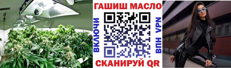 купить Владимир mega ONION ТГК Wax