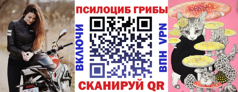 блэк спрут   Владимир  Псилоцибиновые грибы прущие грибы  купить  